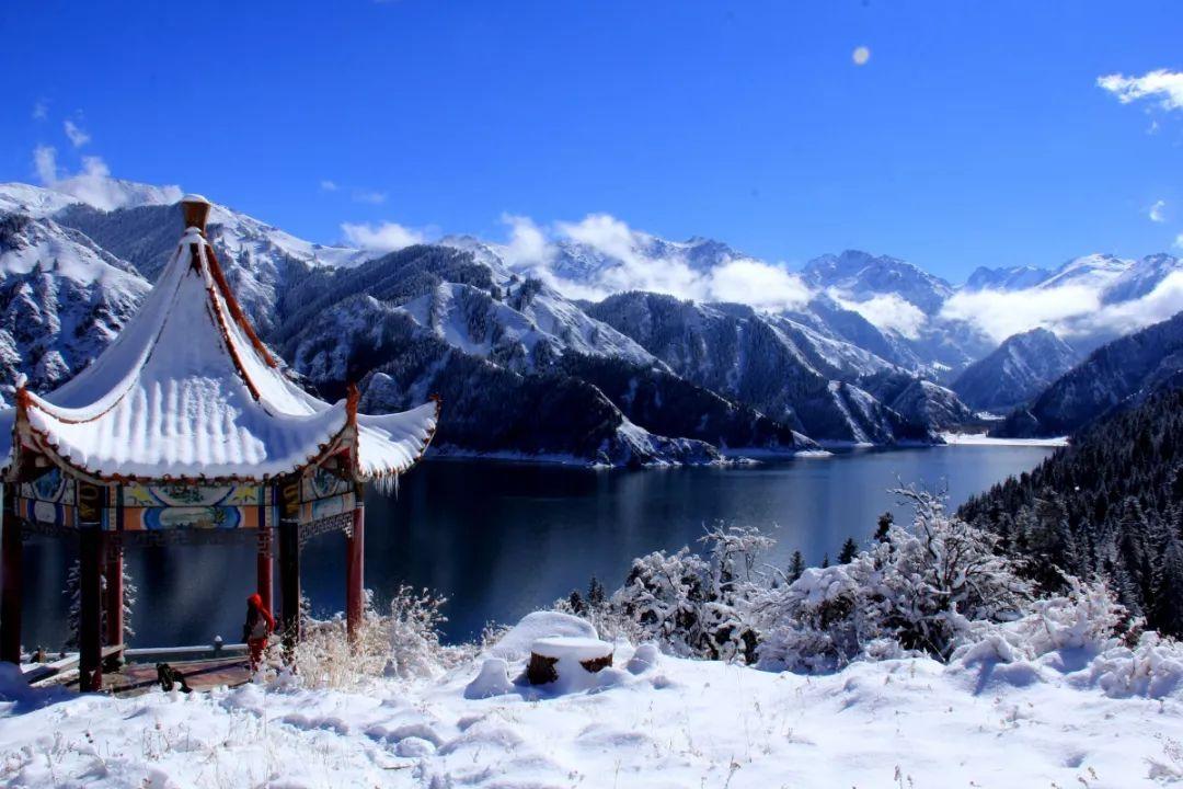 孩子脑子很聪明,就是坐不住?哪几个步骤帮孩子提高自我控制能力?-知识星球平台,专注知识分享与学习社区